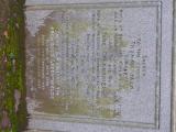 image of grave number 614124